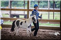 4H-District-15-0492.jpg