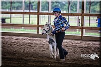 4H-District-15-0494.jpg