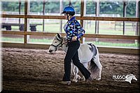 4H-District-15-0495.jpg