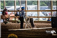 4H-District-15-0497.jpg