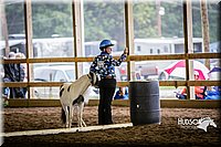 4H-District-15-0498.jpg