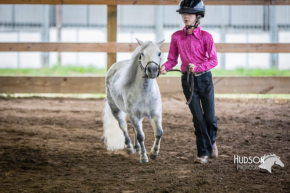 4H-District-15-0518.jpg