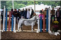 4H-District-15-0499.jpg