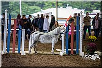 4H-District-15-0500.jpg