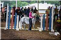 4H-District-15-0502.jpg