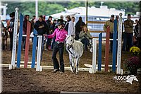 4H-District-15-0503.jpg