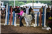 4H-District-15-0504.jpg