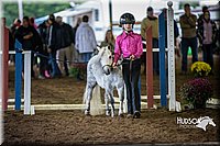 4H-District-15-0505.jpg