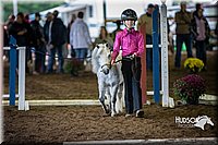 4H-District-15-0506.jpg