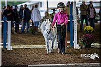 4H-District-15-0507.jpg