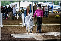 4H-District-15-0509.jpg