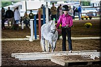 4H-District-15-0510.jpg