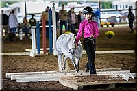 4H-District-15-0511.jpg