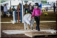 4H-District-15-0511.jpg