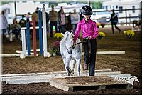 4H-District-15-0512.jpg