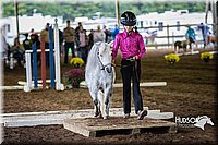 4H-District-15-0513.jpg