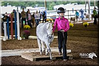 4H-District-15-0514.jpg