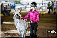 4H-District-15-0515.jpg