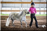 4H-District-15-0517.jpg