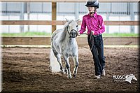 4H-District-15-0518.jpg