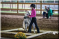 4H-District-15-0521.jpg