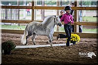 4H-District-15-0525.jpg