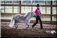 4H-District-15-0526.jpg