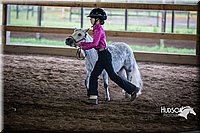 4H-District-15-0528.jpg