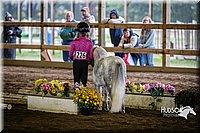 4H-District-15-0529.jpg