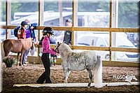 4H-District-15-0534.jpg