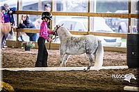 4H-District-15-0535.jpg