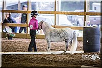 4H-District-15-0536.jpg