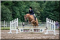 4H-District-15-0231.jpg