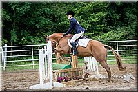 4H-District-15-0244.jpg