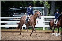 4H-District-15-0385.jpg