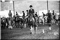 4H-District-15-0594.jpg