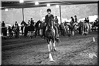 4H-District-15-0597.jpg