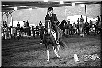 4H-District-15-0599.jpg