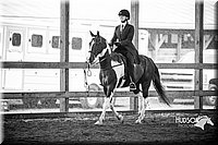 4H-District-15-0611.jpg