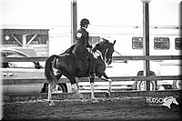 4H-District-15-0620.jpg