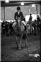 4H-District-15-0625.jpg