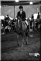 4H-District-15-0626.jpg