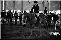 4H-District-15-0641.jpg