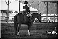 4H-District-15-0654.jpg