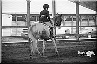 4H-District-15-0668.jpg