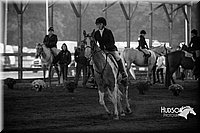 4H-District-15-0669.jpg