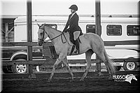 4H-District-15-0683.jpg