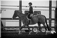 4H-District-15-0707.jpg