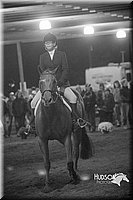 4H-District-15-0714.jpg