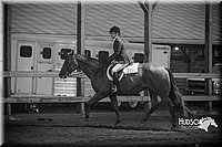 4H-District-15-0718.jpg